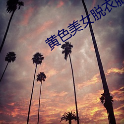 黄色美女脱衣服APP （联通）