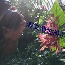 美女最性感的地方