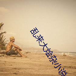 亂來大燴雜小說