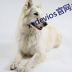 xvdevios官网app （尸禄素餐）