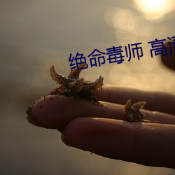 绝命毒师 高清