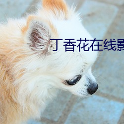 AG真人平台(中国)官方网站
