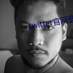 twitter官网登录入