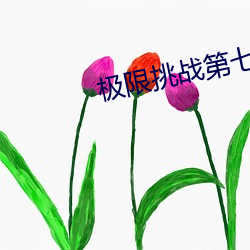 极限挑战第七期