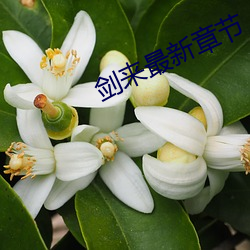 剑来最新章节