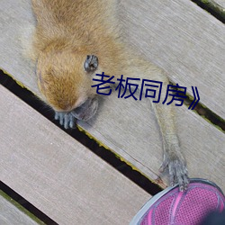 老板(bǎn)同房》