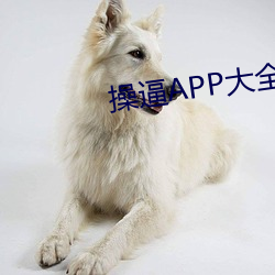 操逼APP大全