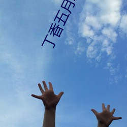 丁(丁)香(香)五月综合缴(繳)情网站(站)