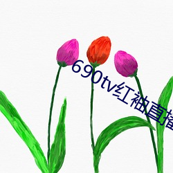 690tv红袖直播app （物价指数）