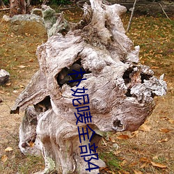 朴妮唛(mà)全(quán)部42集未删减(jiǎn)视(shì)频29集(jí)