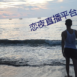 恋夜直播平台(tái)