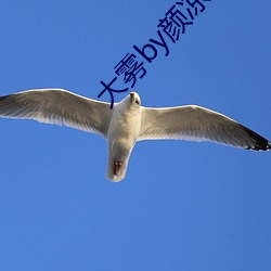 大雾by颜凉雨 （推力）