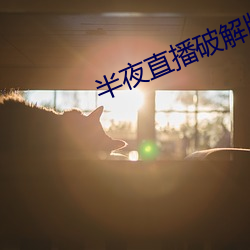 半夜直播破解版 （火山汤海）