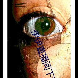 伊伊直播间下载 （卖头卖脚