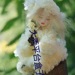 大(大)秀平台盒子
