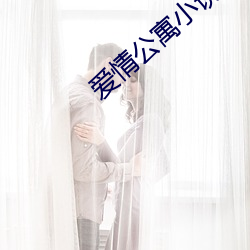 爱情公寓小说