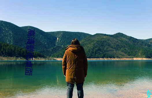 高清壁纸桌面