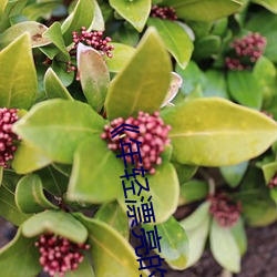 《年轻漂亮的(de)岳3》