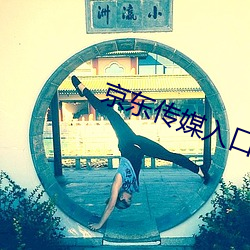 京东传(傳)媒入口