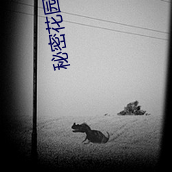秘密花園動漫在線