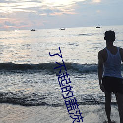 了不起的蓋茨比小說