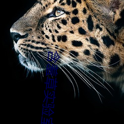 含羞草实验(yn)室网站(zhàn)直(zh)接进(jn)入