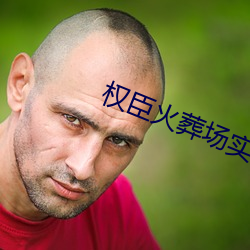 权臣火葬场实录 （开华结果）