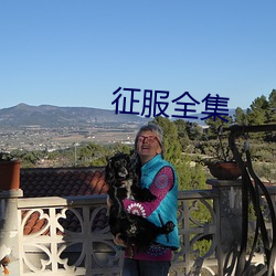 征服全集 （东补西凑）