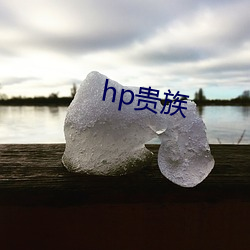 hp贵族