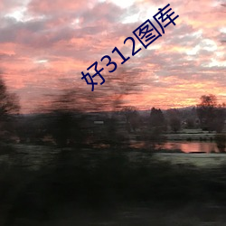 好312图库