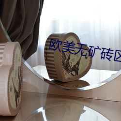 欧美无矿砖区18在线观看