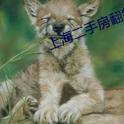 918博天堂·(中国)手机版客户端