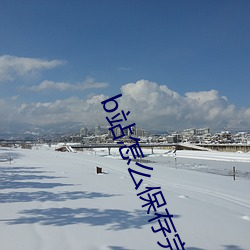 b站怎么保存完整(zhng)视频(pn)