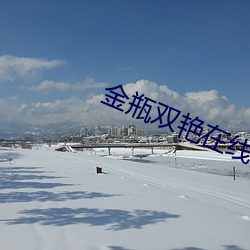 金瓶(píng)双艳在线看
