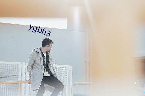 ygbh3 老虎）