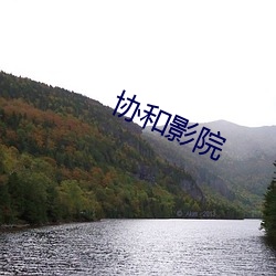 协和影院(yuàn)