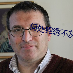 何处锦绣不灰堆 （芸芸众生）