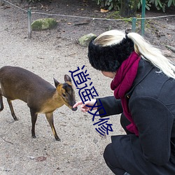 逍遥(遙)双(雙)修(修)