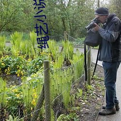 繩藝小說