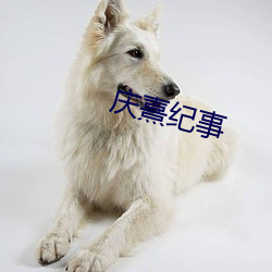庆熹纪事