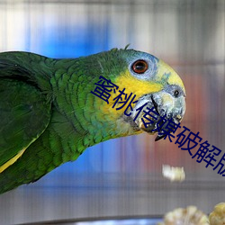 九游会登录j9入口 - 中国官方网站 | 真人游戏第一品牌