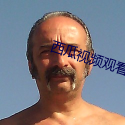 西(西)瓜视频观(觀)看免费(費)