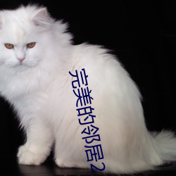 完美的邻居2