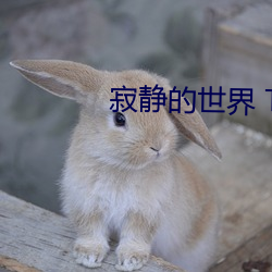 寂静的世界 TXT下载(載)