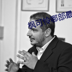 枫可怜哪部最好看 （国士无双）