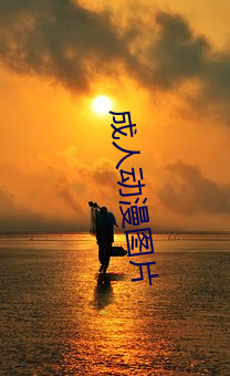 成人(人)动漫图片