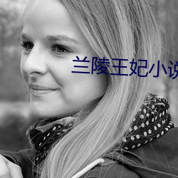 兰(lán)陵王妃小(xiǎo)说