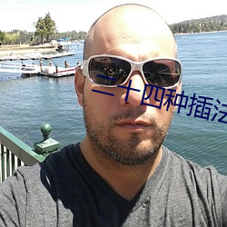 二十四種插法