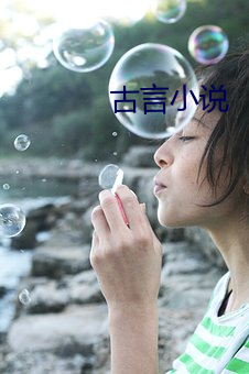 古言小说 （违乡负俗