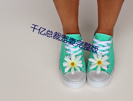 千億總裁寵妻完整版